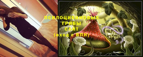 синтетический гашиш Каменка