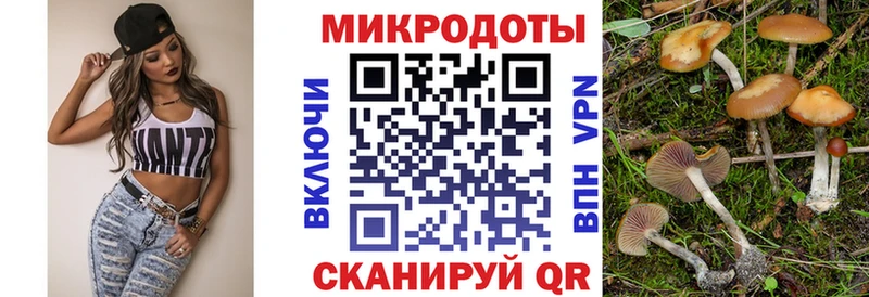 Купить закладки  Данилов  Псилоцибиновые грибы MAGIC MUSHROOMS 
